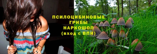 спиды Михайлов