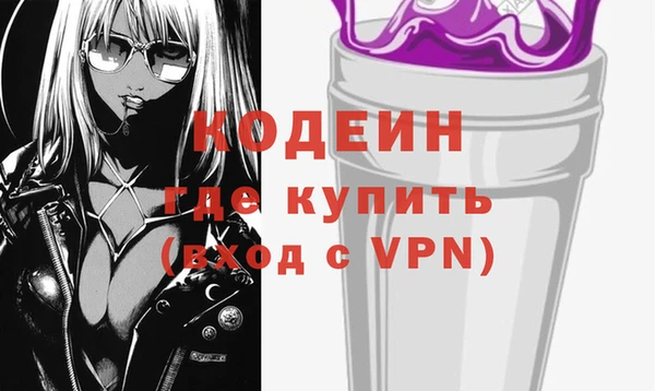 стаф Вязьма