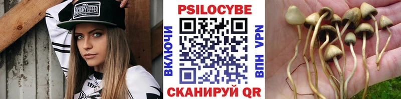 Галлюциногенные грибы прущие грибы Новопавловск